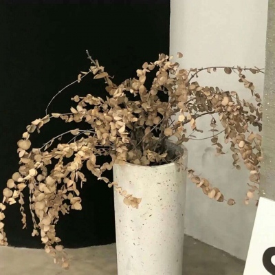 增城福瑞交流群